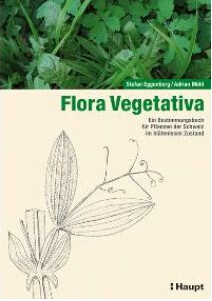 Flora Vegetativa