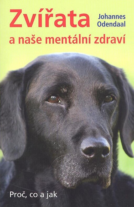 Zvířata a naše mentální zdraví: proč, co a jak