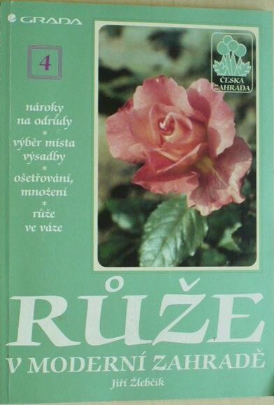 Růže v moderní zahradě