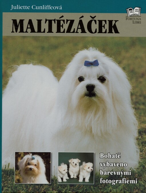 Maltézáček
