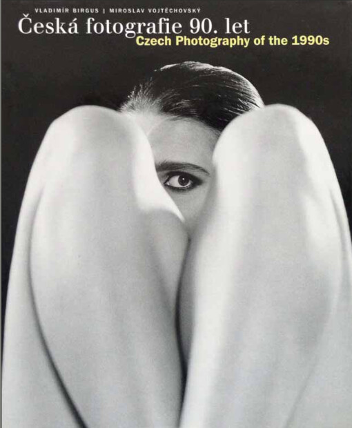 Česká fotografie 90. let =: Czech photography of the 1990s
