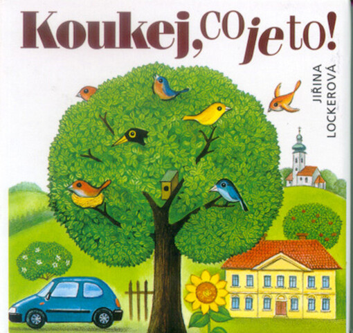 Koukej, co je to!