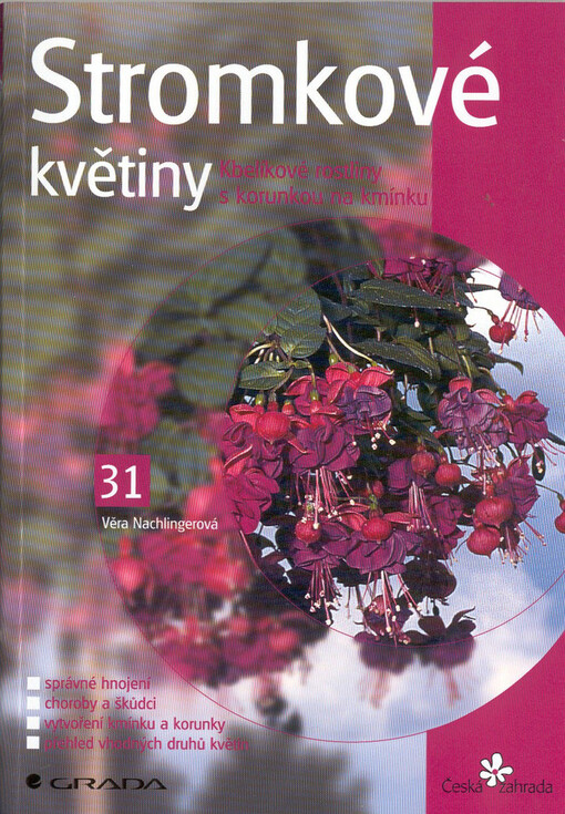 Stromkové květiny: kbelíkové rostliny s korunkou na kmínku