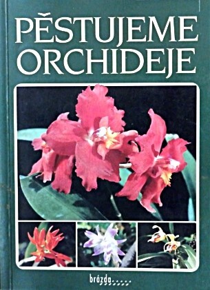 Pěstujeme orchideje