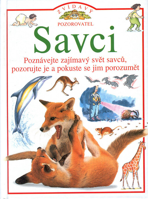 Savci