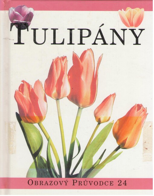 Tulipány