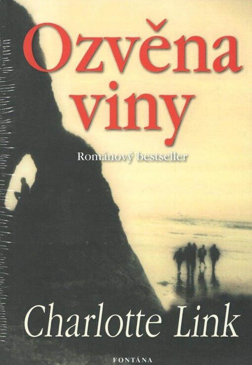 Ozvěna viny: román