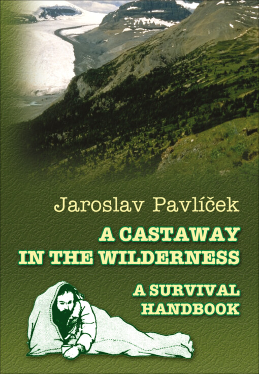 A castaway in the wilderness : a survival handbook