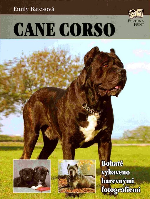 Cane corso