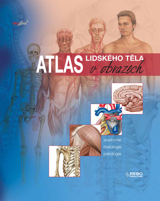 Atlas lidského těla v obrazech : anatomie, histologie, patologie