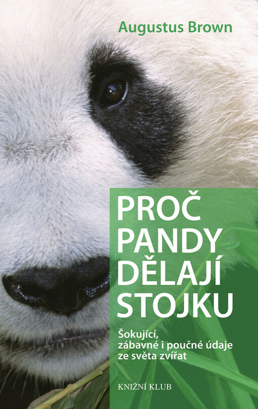 Proč pandy dělají stojku: šokující, zábavné i poučné údaje ze světa zvířat