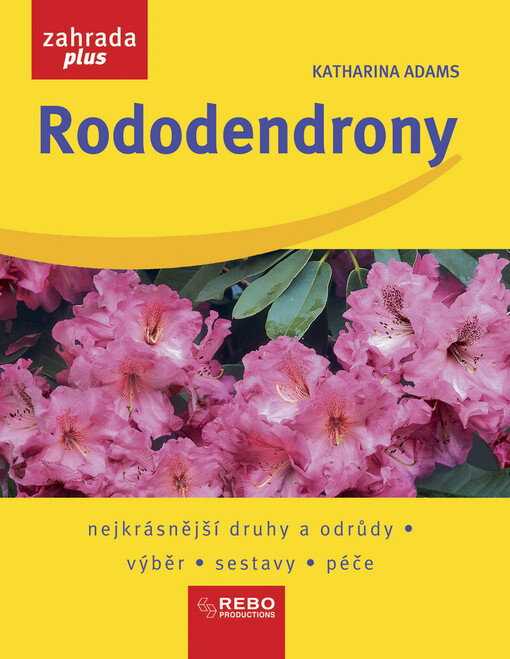 Rododendrony : nejkrásnější druhy a odrůdy, výběr, sestavy, péče