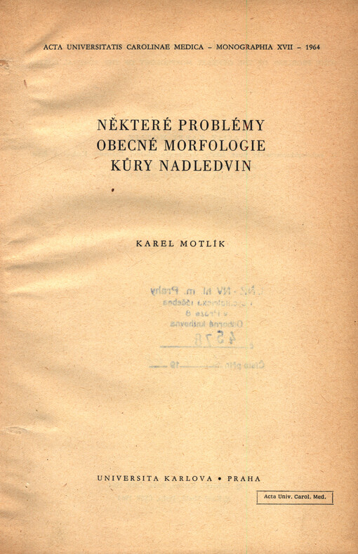 Některé problémy obecné morfologie kůry nadledvin