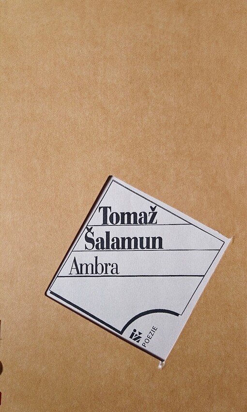 Ambra 