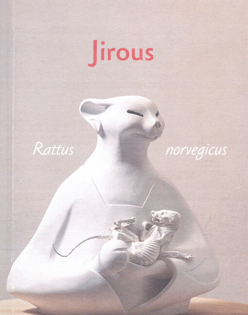 Rattus norvegicus