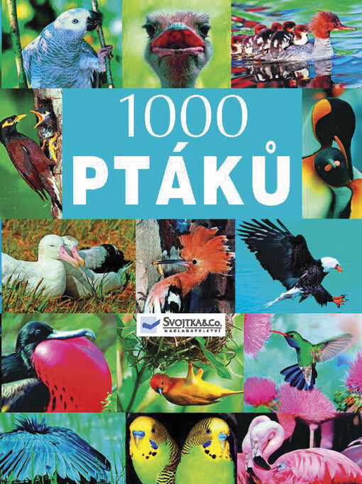 1000 ptáků