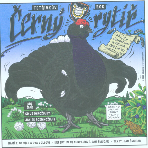 Černý rytíř. Tetřívkův rok : příběh o těžkém životě tetřívka obecného