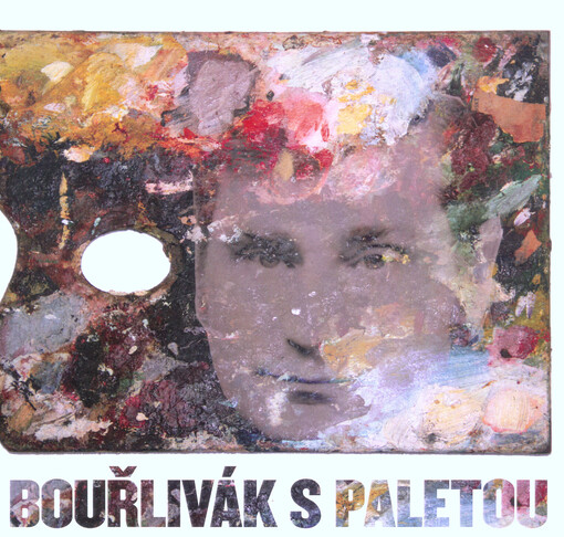 Bouřlivák s paletou