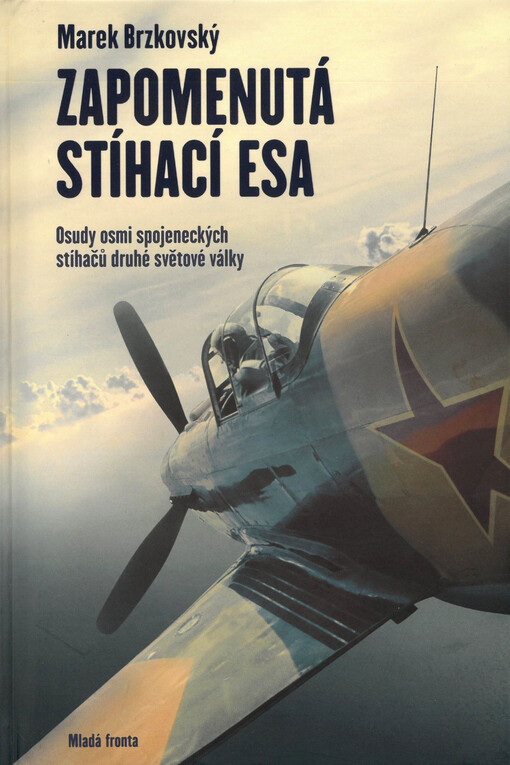 Zapomenutá stíhací esa : osudy osmi spojeneckých stíhačů druhé světové války