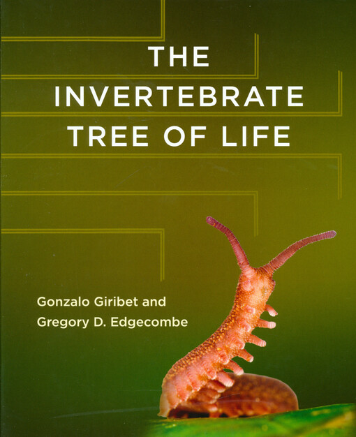 The invertebrate tree of life