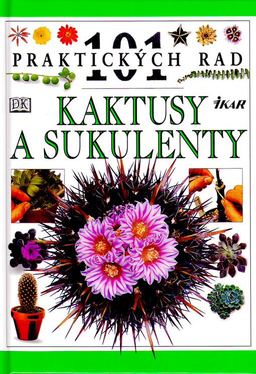 Kaktusy a sukulenty
