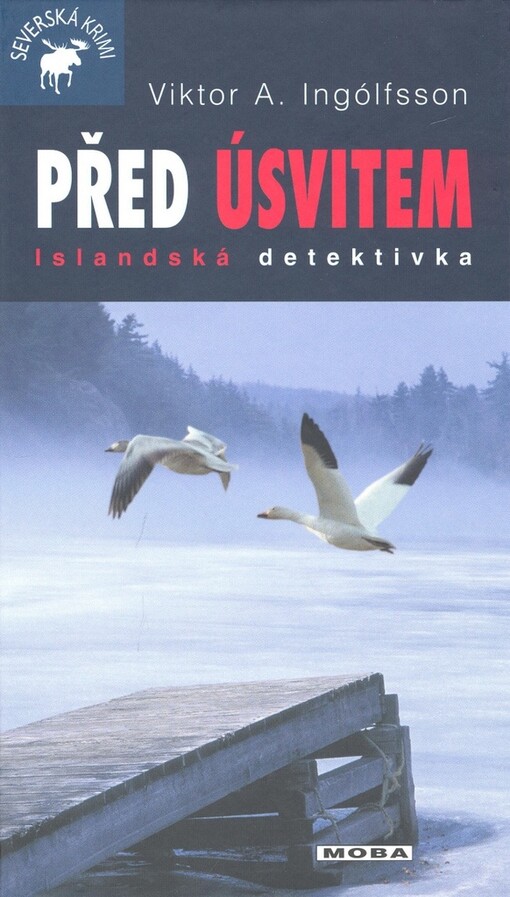 Před úsvitem : islandská detektivka