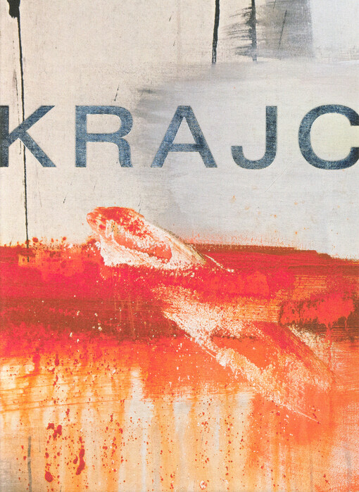 Martin Krajc : pictures in my head