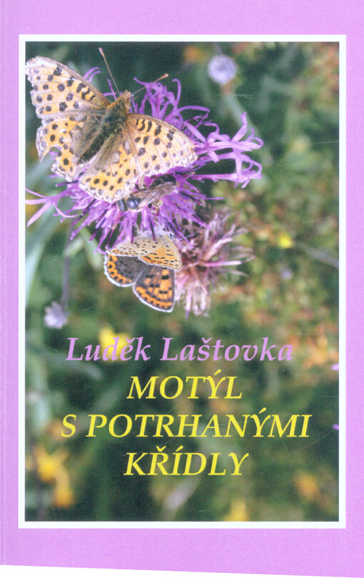 Motýl s potrhanými křídly