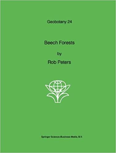 Beech forests