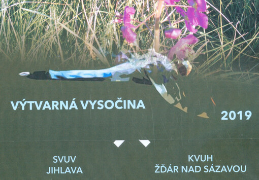 Výtvarná Vysočina 2019