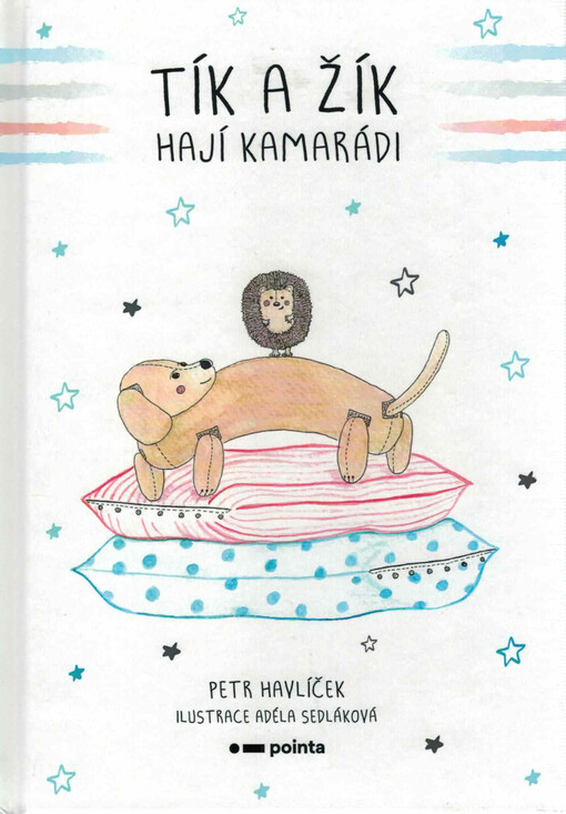 Tík a Žík : hají kamarádi