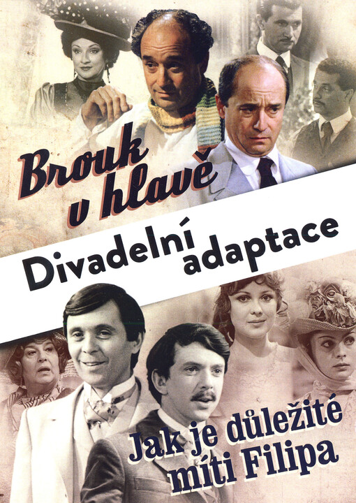 Divadelní adaptace