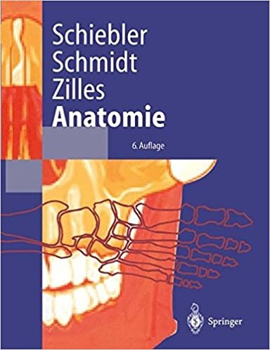 Anatomie : Zytologie, Histologie, Entwicklungsgeschichte, makroskopische und mikroskopische Anatomie des Menschen : unter Berücksichtigung des Gegenstandskatalogs