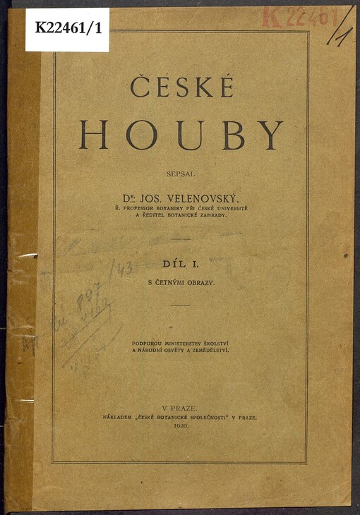 České houby