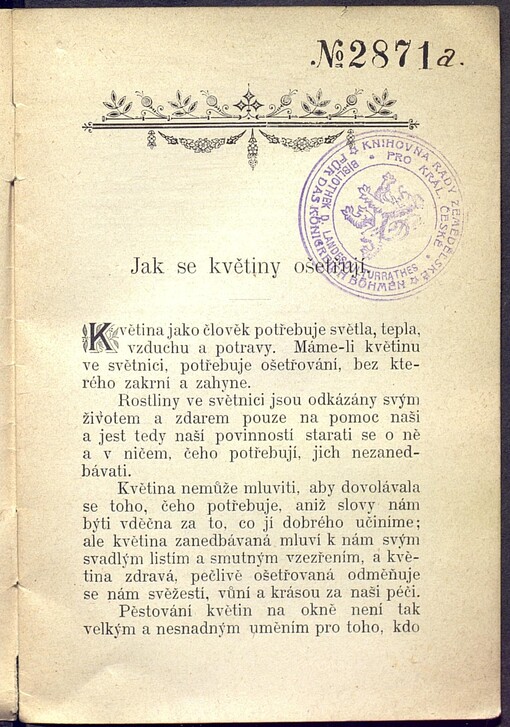 Návod ku pěstování květin v pokoji