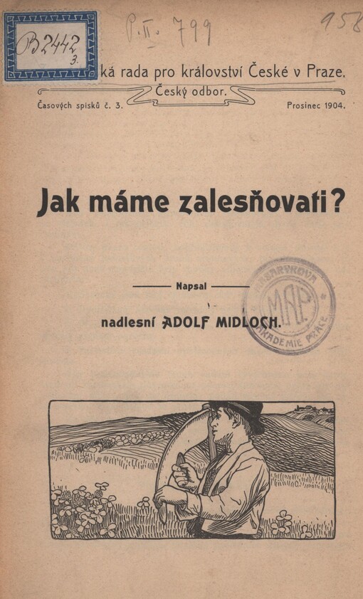 Jak máme zalesňovati ?