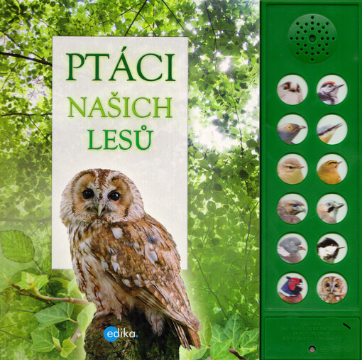 Ptáci našich lesů