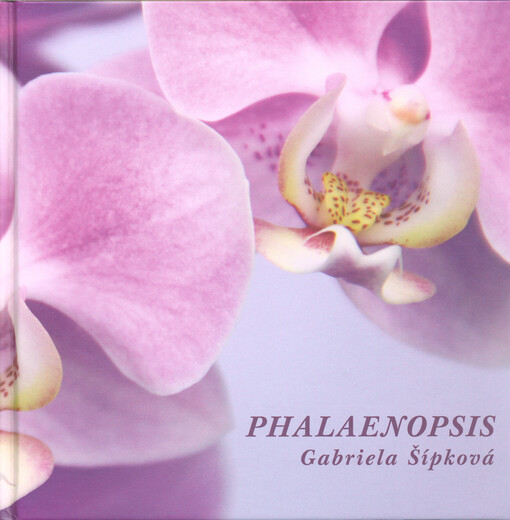 Phalaenopsis
