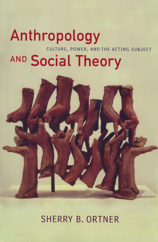Anthropology and social theory : culture, power, and the acting subject