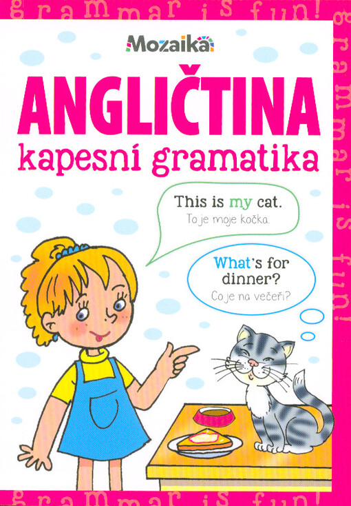 Angličtina : kapesní gramatika