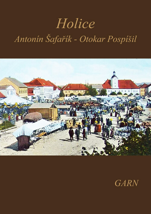 Holice : obraz vývoje a současnosti