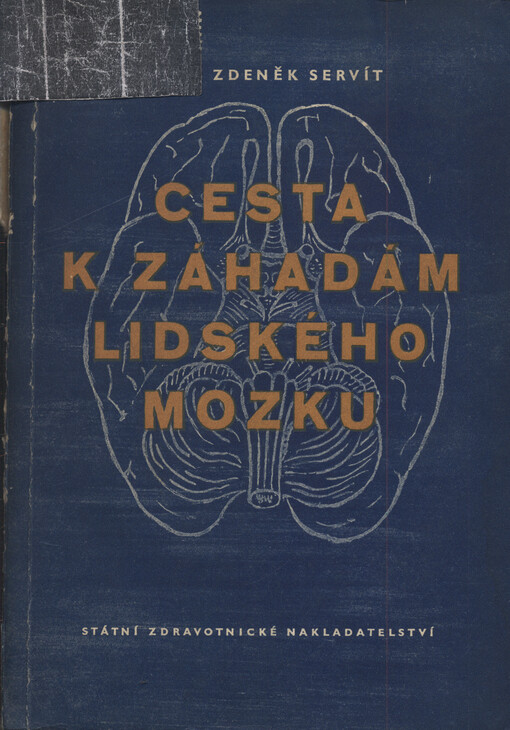 Cesta k záhadám lidského mozku