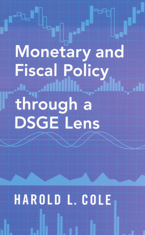 Monetary and fiscal policy through a DSGE lens