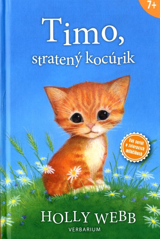 Timo, stratený kocúrik