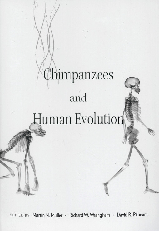 Chimpanzees and human evolution