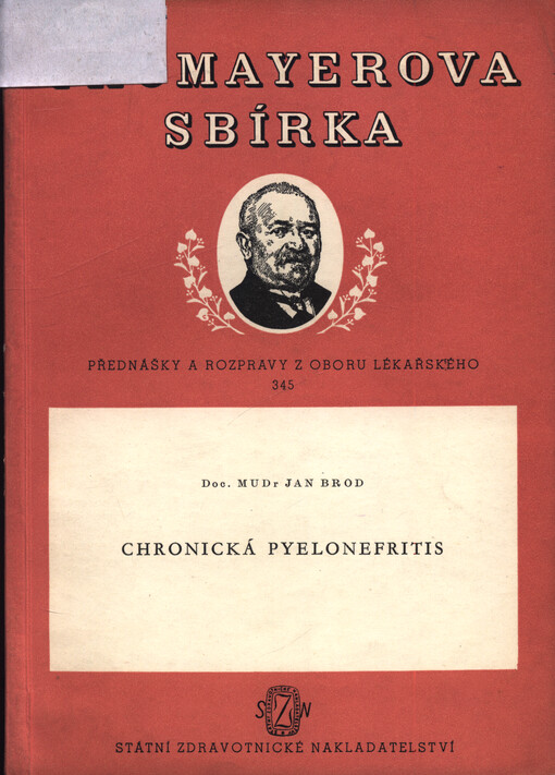 Chronická pyelonefritis