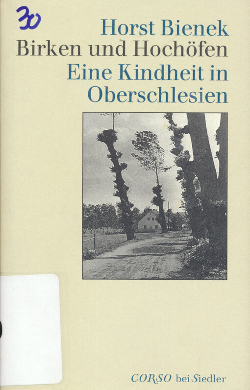 Birken und Hochöfen : eine Kindheit in Oberschlesien
