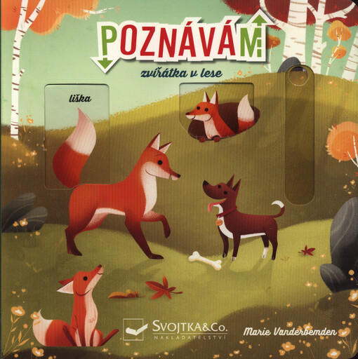 Poznávám : zvířátka v lese