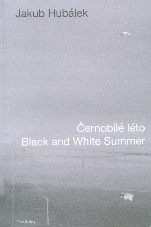 Jakub Hubálek : černobílé léto = black and white summer