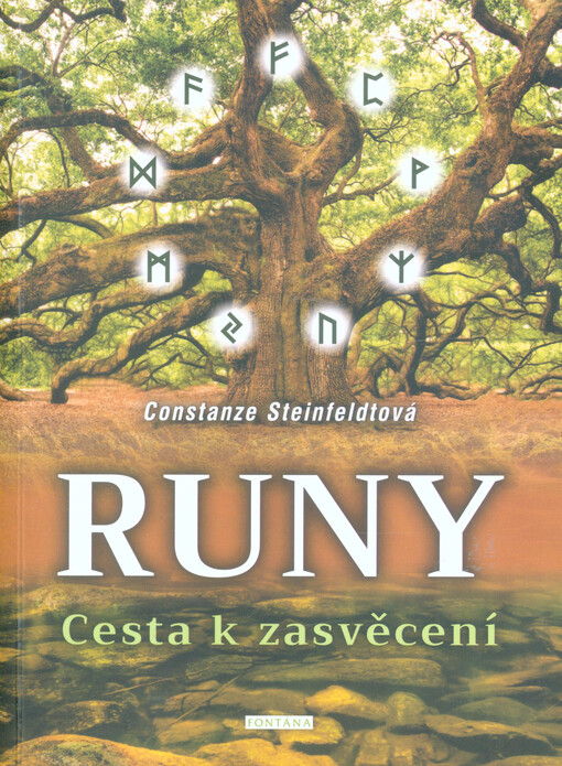 Runy : cesta k zasvěcení
